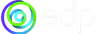 edp-e1769104528234.png